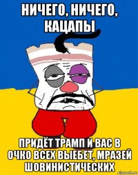 ничего, ничего, кацапы придёт трамп и вас в очко всех выебет, мразей шовинистических