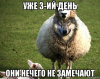 уже 3-ий день они нечего не замечают