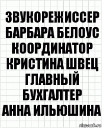 звукорежиссер
Барбара Белоус
координатор
Кристина Швец
главный бухгалтер
Анна Ильюшина