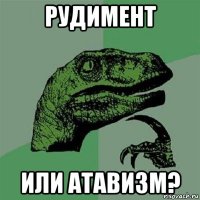 рудимент или атавизм?