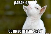 давай одной! совместительской!