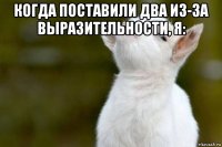 когда поставили два из-за выразительности, я: 