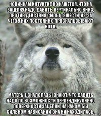 новичкам интуитивно кажется, что на зацепку надо давить вертикально вниз, против действия силы тяжести, из-за чего у них постоянно проскальзывают ноги. матёрые скалолазы знают, что давить надо по возможности перпендикулярно поверхности зацепки, на каком бы сильном нависании она ни находилась.