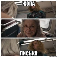 жопа писька