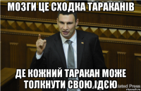 мозги це сходка тараканів де кожний таракан може толкнути свою ідєю