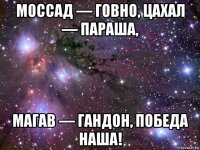 моссад — говно, цахал — параша, магав — гандон, победа наша!