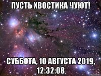 пусть хвостика чуют! суббота, 10 августа 2019, 12:32:08