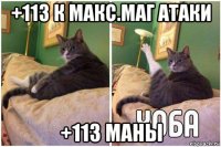 +113 к макс.маг атаки +113 маны