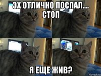 эх отлично поспал.... стоп я еще жив?