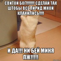 свитой бог!!!!!!! сделай так штобы все пирид мной кланились!!!! и да!!! ни бей миня пж!!!!!