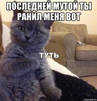 последней мутой ты ранил меня вот 