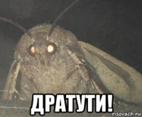  дратути!