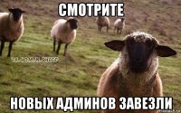 смотрите новых админов завезли