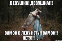 девушка! девушка!!! самок в лесу нету!! самок!! нету!!! . . .