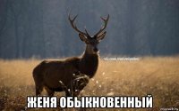  женя обыкновенный