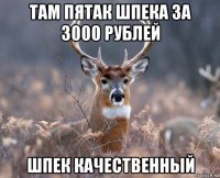 там пятак шпека за 3000 рублей шпек качественный