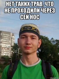 нет таких трав, что не проходили через сей нос 