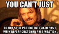 you can’t just do not split project into 36 repos 1 week before customer presentation