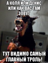 а коля или денис или как вас там зовут тут видимо самый главный троль!