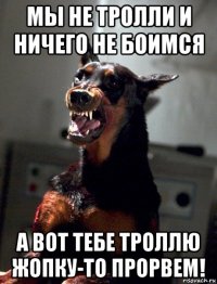 мы не тролли и ничего не боимся а вот тебе троллю жопку-то прорвем!