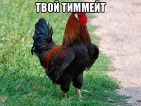 твой тиммейт 