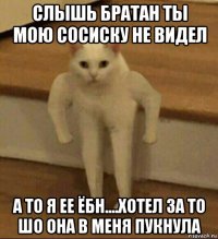 слышь братан ты мою сосиску не видел а то я ее ёбн....хотел за то шо она в меня пукнула