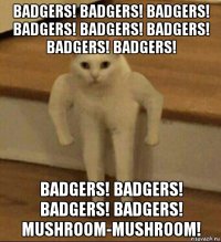 badgers! badgers! badgers! badgers! badgers! badgers! badgers! badgers! badgers! badgers! badgers! badgers! mushroom-mushroom!