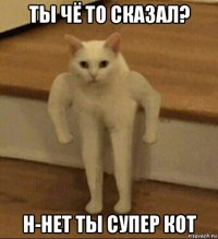 ты чё то сказал? н-нет ты супер кот