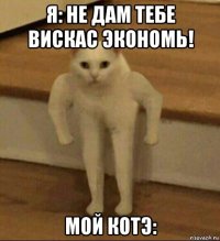 я: не дам тебе вискас экономь! мой котэ: