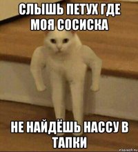 слышь петух где моя сосиска не найдёшь нассу в тапки