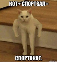 кот+ спортзал= спортокот.