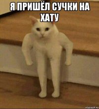 я пришёл сучки на хату 