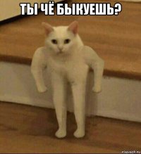 ты чё быкуешь? 