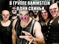 в группе rammstein -одни свиньи 