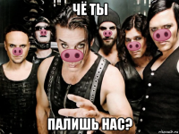 чё ты палишь нас?