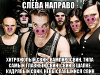 слева направо - хитрожопый свин, вампиросвин, типа самый главный свин, свин в шапке, кудрявый свин, невыспавшийся свин