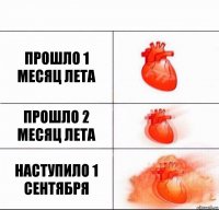 ПРОШЛО 1 МЕСЯЦ ЛЕТА ПРОШЛО 2 МЕСЯЦ ЛЕТА НАСТУПИЛО 1 СЕНТЯБРЯ