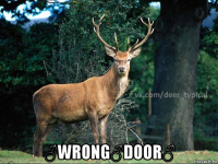  ♂wrong♂door♂