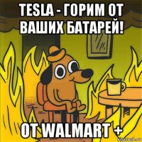 tesla - горим от ваших батарей! от walmart +