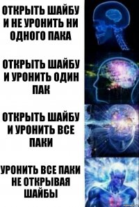 Открыть шайбу и не уронить ни одного пака Открыть шайбу и уронить один пак Открыть шайбу и уронить все паки Уронить все паки не открывая шайбы