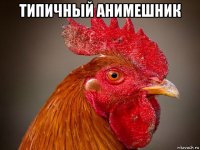 типичный анимешник 