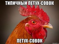 типичный петух-совок петух-совок