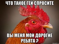 что такое гей спросите вы меня мои дорогие ребята ?