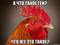 а что такое гей? что жэ это такое?