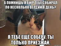 а помнишь я awp тебе собирал по несколько версий в день? я тебе ещё соберу. ты только приезжай.