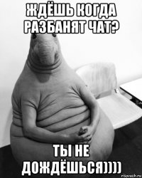 ждёшь когда разбанят чат? ты не дождёшься))))