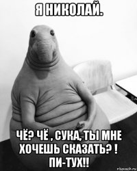 я николай. чё? чё , сука, ты мне хочешь сказать? ! пи-тух!!