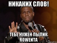 никаких слов! тебе нужен пылик rowenta