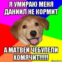 я умираю меня даниил не кормит а матвей чебупели хомячит!!!!!