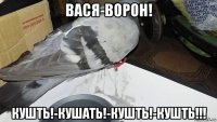 вася-ворон! кушть!-кушать!-кушть!-кушть!!!